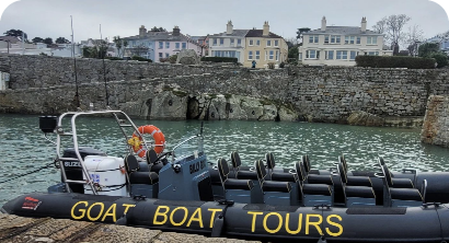 A docked boat with "GOAT BOAT TOURS" written on the side, equipped with multiple seats and a lifebuoy. It's situated in a calm harbor with stone walls, and several multi-story houses are visible in the background.