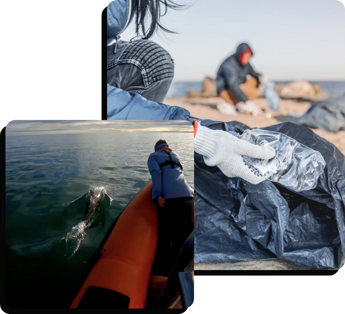 A collage of three images: A person picking up trash in a garbage bag near the beach, a person sitting in a boat looking at a dolphin swimming nearby, and a close-up of someone placing plastic waste into a bag.